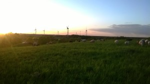 Abendpanorama auf der Deponie Loccum